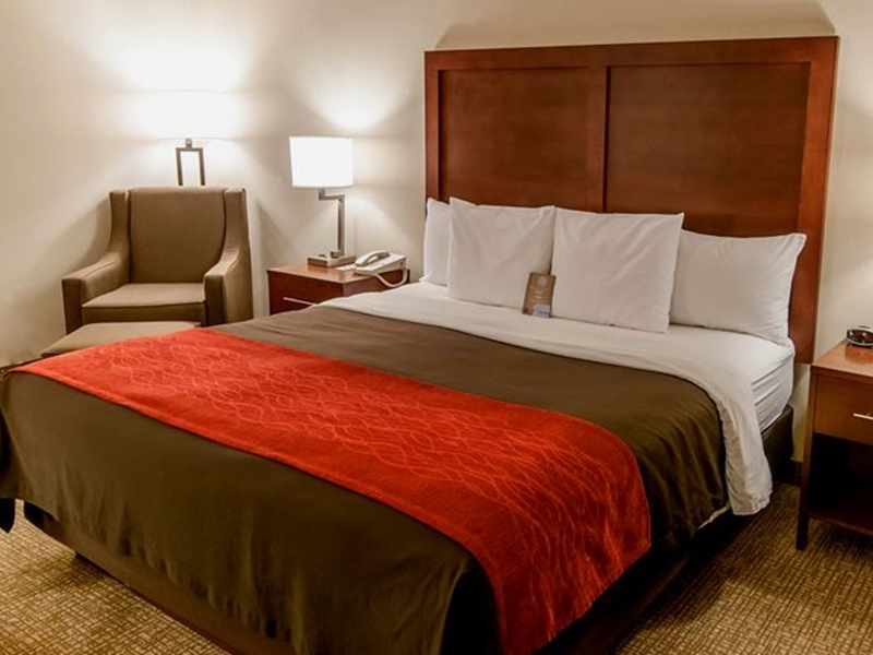 Comfort Inn &amp; Suites Proyecto popular Muebles de dormitorio de hotel